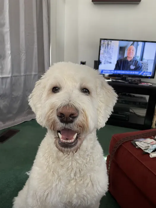 West Clay Animal Hospital: J. T. Saranita DVM Picture 1