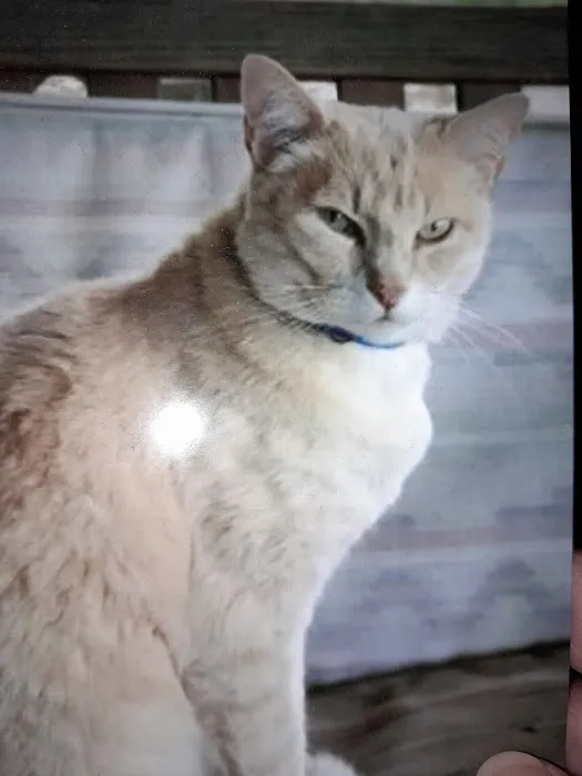 West Clay Animal Hospital: J. T. Saranita DVM Picture 5