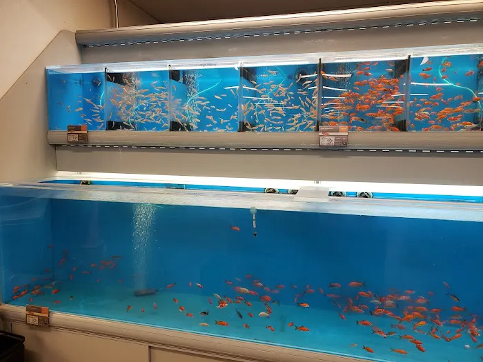 Banfield Pet Hospital Picture 4