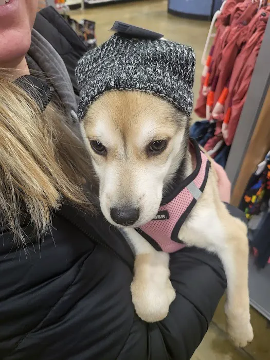 Banfield Pet Hospital Picture 1