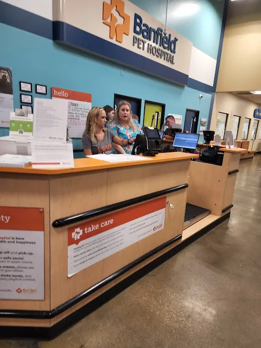 Banfield Pet Hospital Picture 3