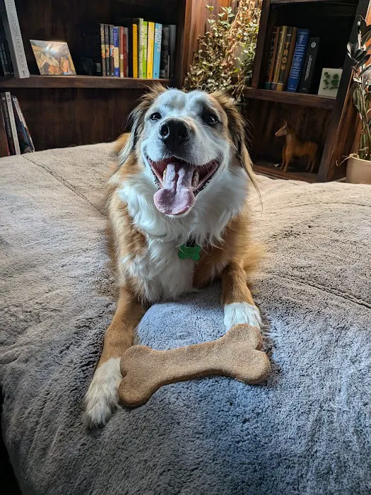 Banfield Pet Hospital Picture 7