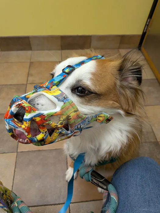 Banfield Pet Hospital Picture 6