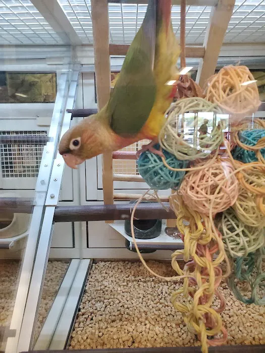 Banfield Pet Hospital Picture 9