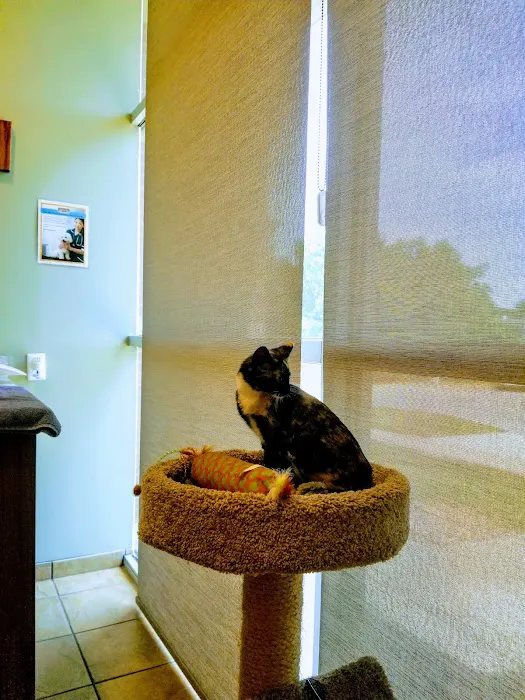 Elm Point Animal Hospital Picture 6