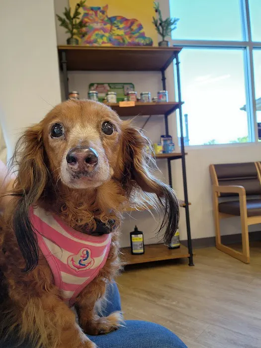 Elm Point Animal Hospital Picture 3