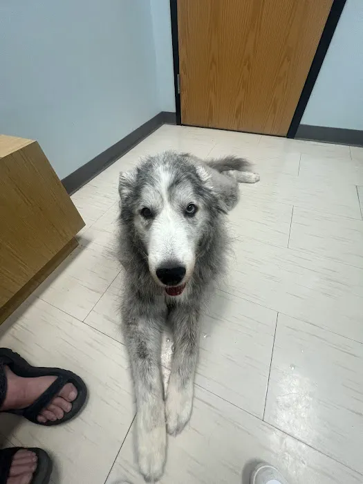 Elm Point Animal Hospital Picture 4