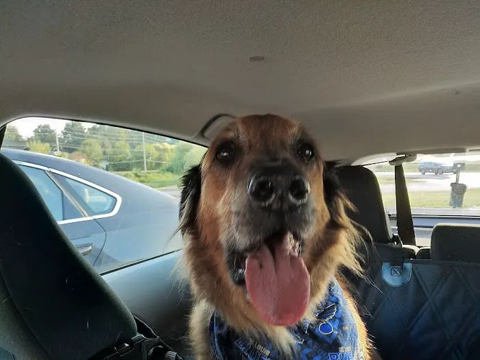 Elm Point Animal Hospital Picture 5