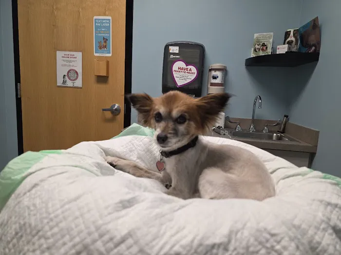 Elm Point Animal Hospital Picture 2