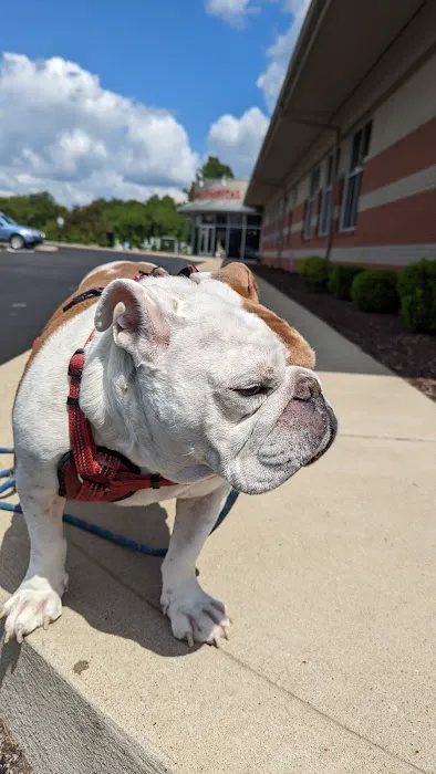 Elm Point Animal Hospital Picture 9