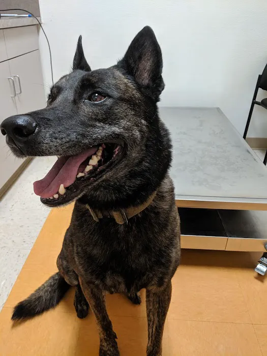 Elm Point Animal Hospital Picture 8