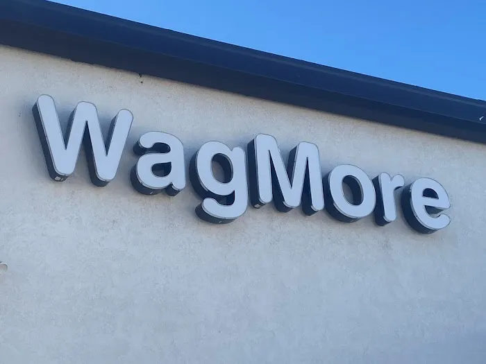 Wagmore Animal Hospital Picture 2