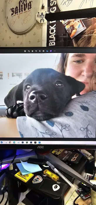 Vet Stop Animal Hospital at New Town Picture 1