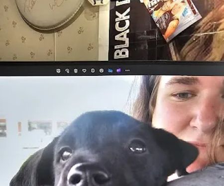 Vet Stop Animal Hospital at New Town