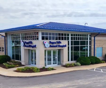 Bogey Hills Animal Hospital: Cross Melanie C DVM