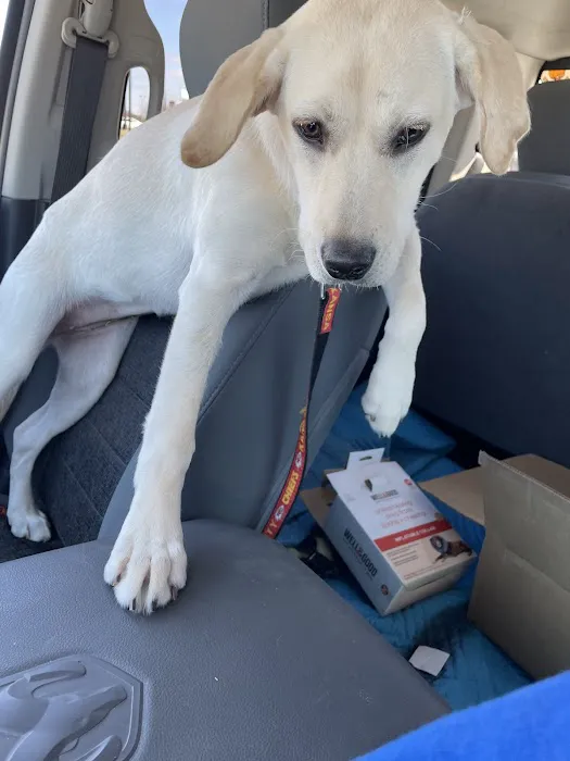 Bogey Hills Animal Hospital Picture 1