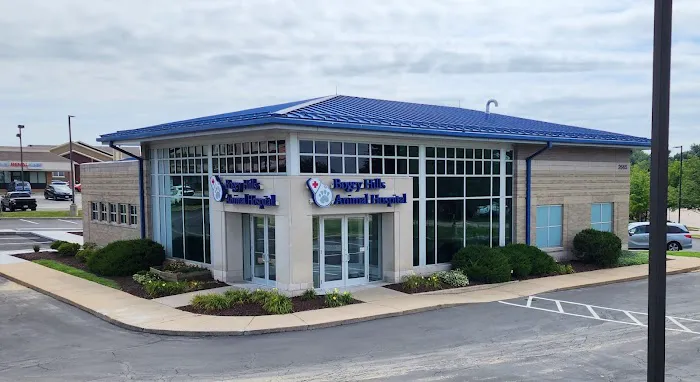 Bogey Hills Animal Hospital Picture 9