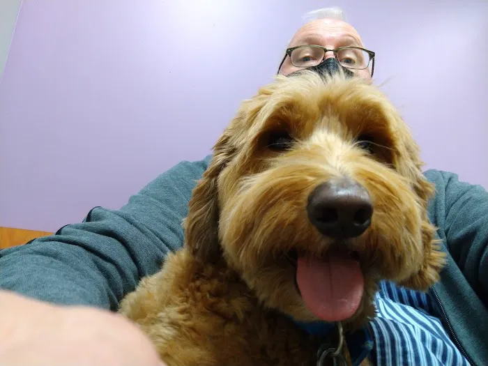 Brentwood Animal Hospital Picture 3