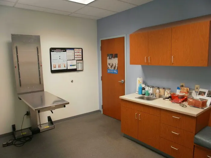 Brentwood Animal Hospital Picture 2