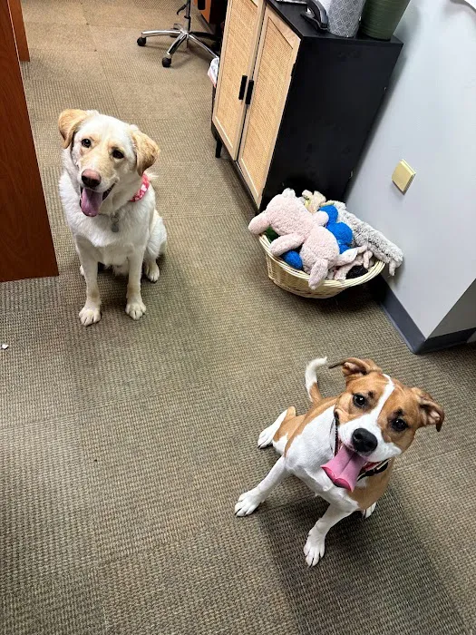 Brentwood Animal Hospital Picture 1