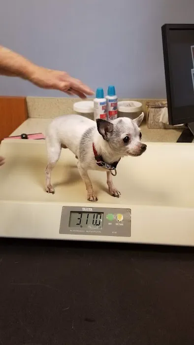 Brentwood Animal Hospital Picture 7