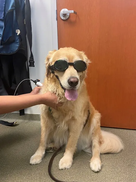 Brentwood Animal Hospital Picture 5