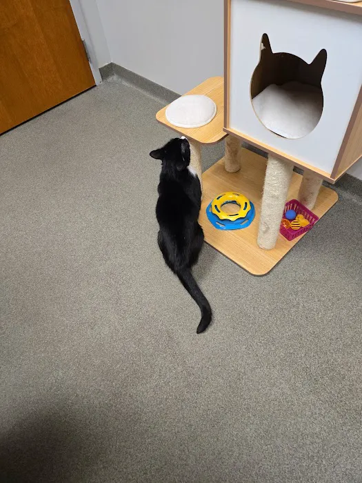 Brentwood Animal Hospital Picture 6