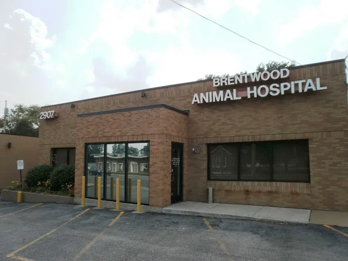 Brentwood Animal Hospital Picture 10
