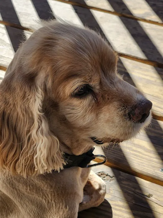 Mt Sterling Veterinary Cln Picture 1