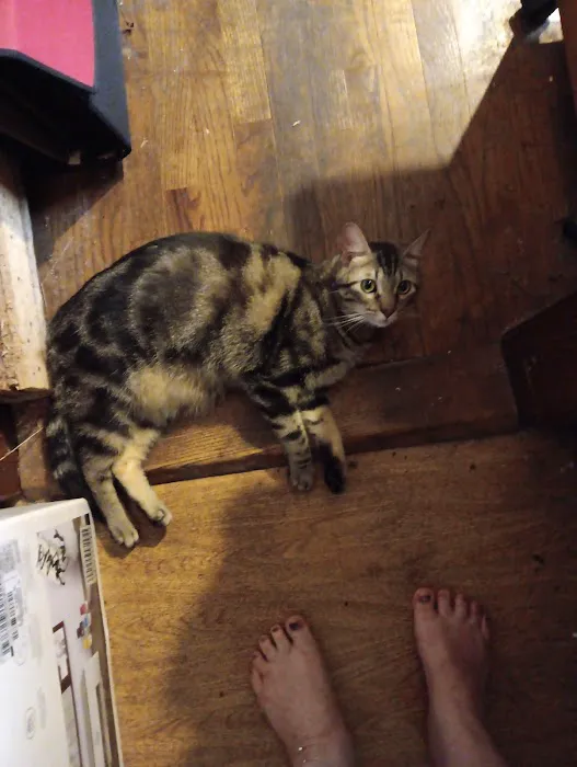 Mt Sterling Veterinary Cln Picture 2