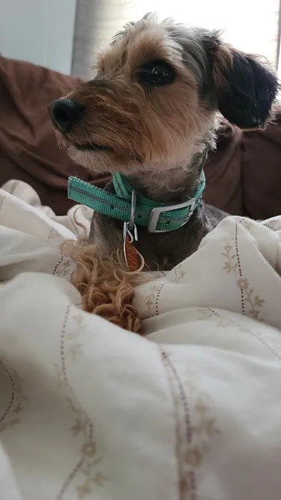 Mt Sterling Veterinary Cln Picture 5