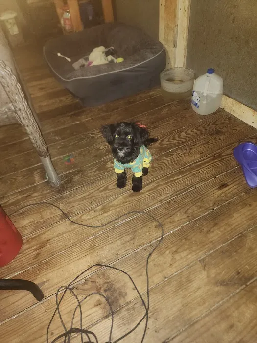 Mt Sterling Veterinary Cln Picture 7