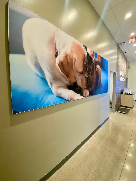 Vetco Total Care Animal Hospital Picture 8