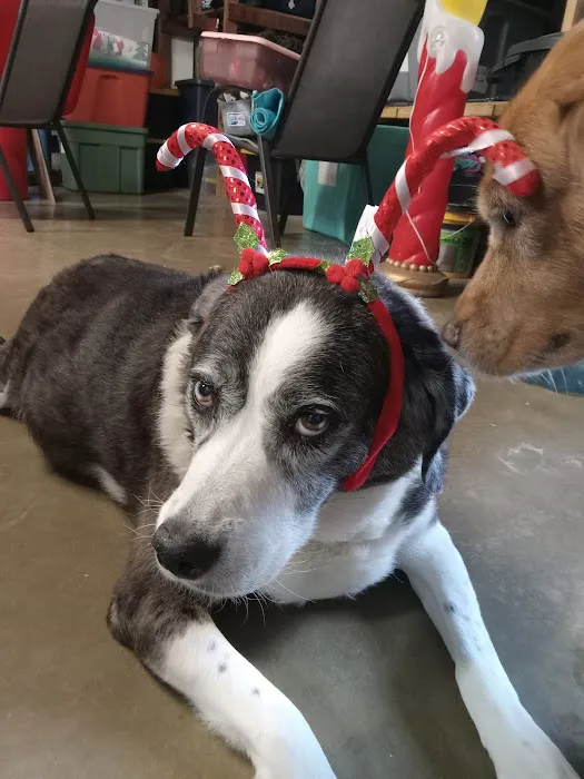 Western Illinois Veterinary Clinic Picture 1