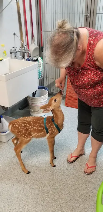 Western Illinois Veterinary Clinic Picture 6