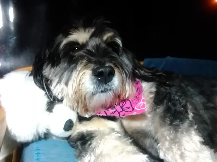 Western Illinois Veterinary Clinic Picture 2