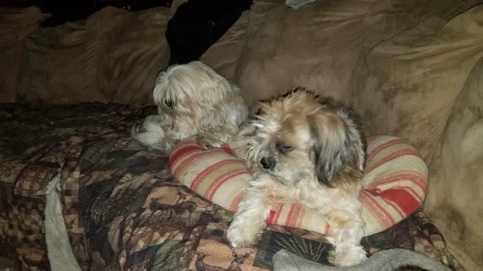 Western Illinois Veterinary Clinic Picture 3