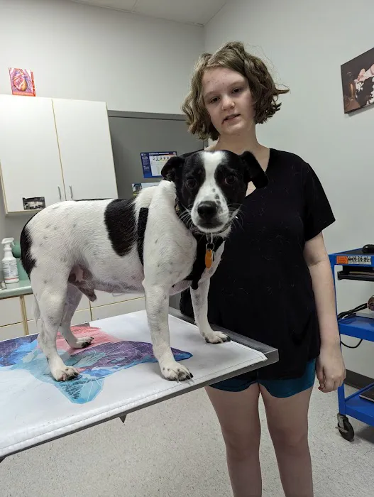 Western Illinois Veterinary Clinic Picture 7