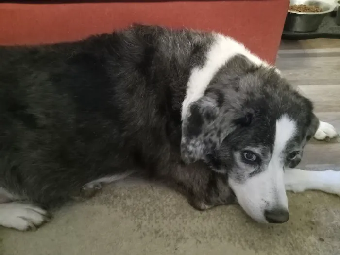 Western Illinois Veterinary Clinic Picture 9