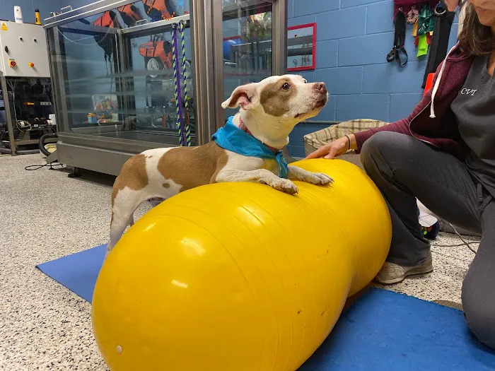 VCA Klingele Animal Hospital Picture 5