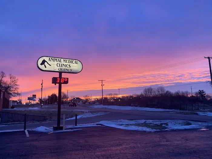 Animal Medical Clinic Picture 4