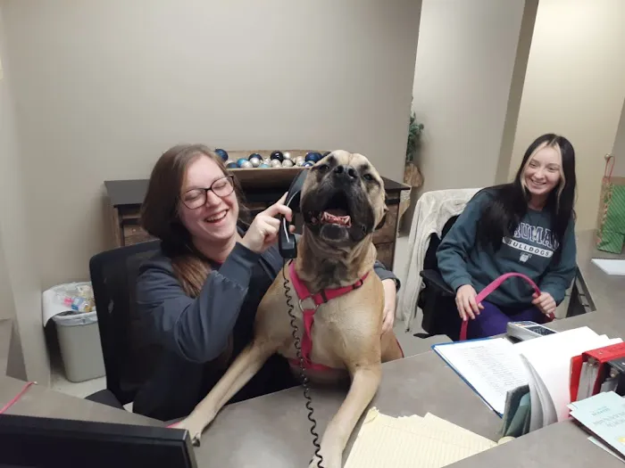 Animal Medical Clinic Picture 7