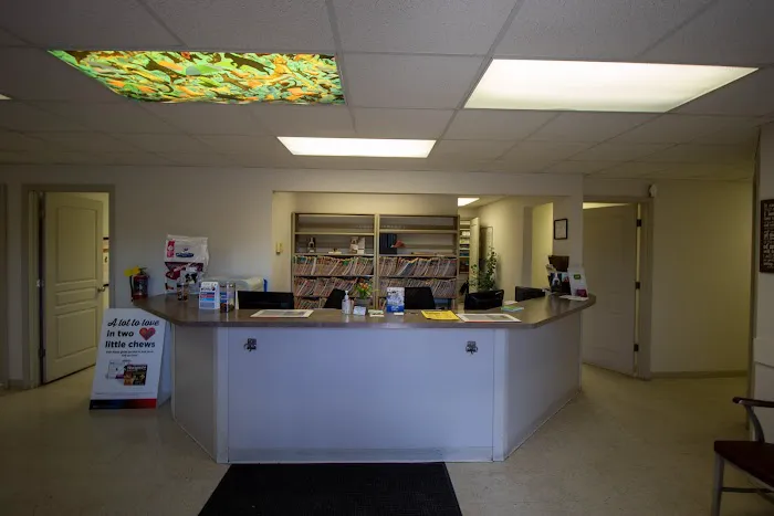 Animal Medical Clinic Picture 6