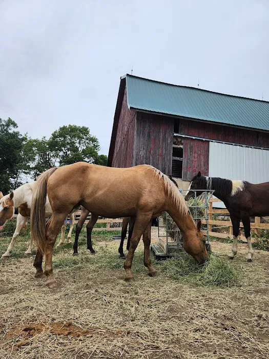 Country View Vet Service Picture 3