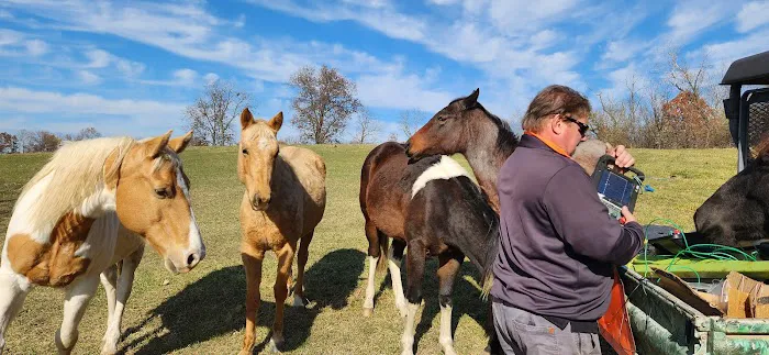 Country View Vet Service Picture 4