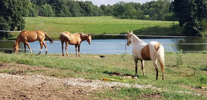 Country View Vet Service Picture 6