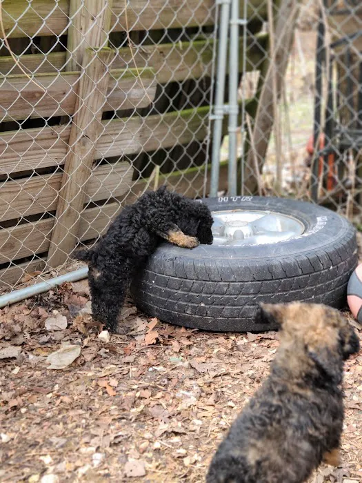 Country View Vet Service Picture 7