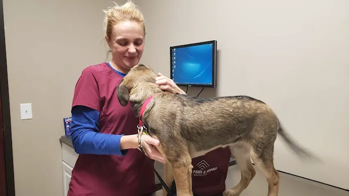 Four Paws Veterinary Clinic Picture 3