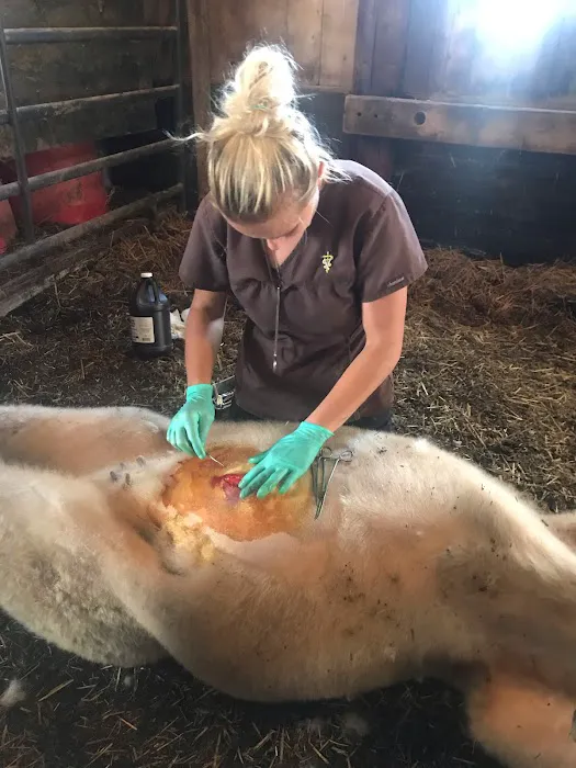 Four Paws Veterinary Clinic Picture 5