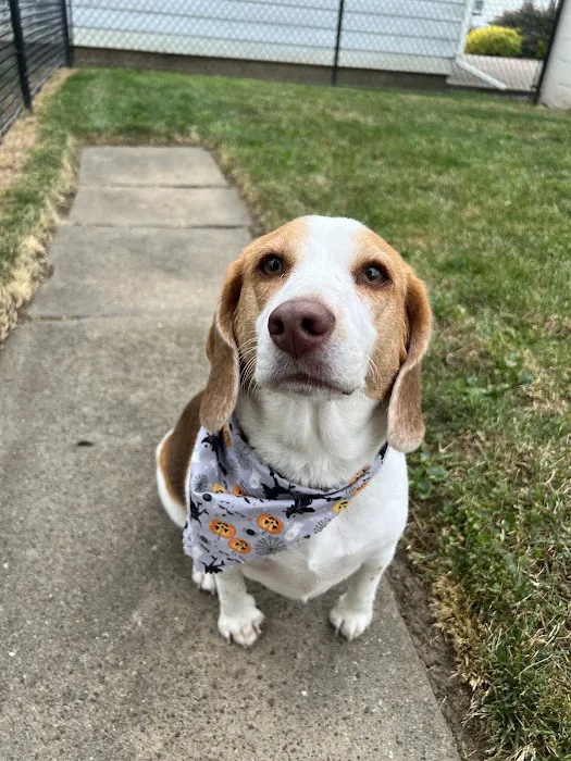 Four Paws Veterinary Clinic Picture 6